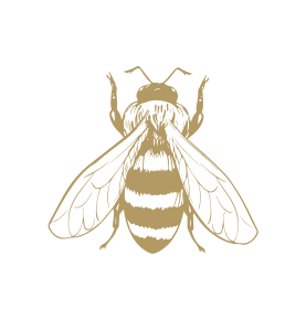 Western Honey Bee