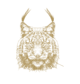 Iberian Lynx
